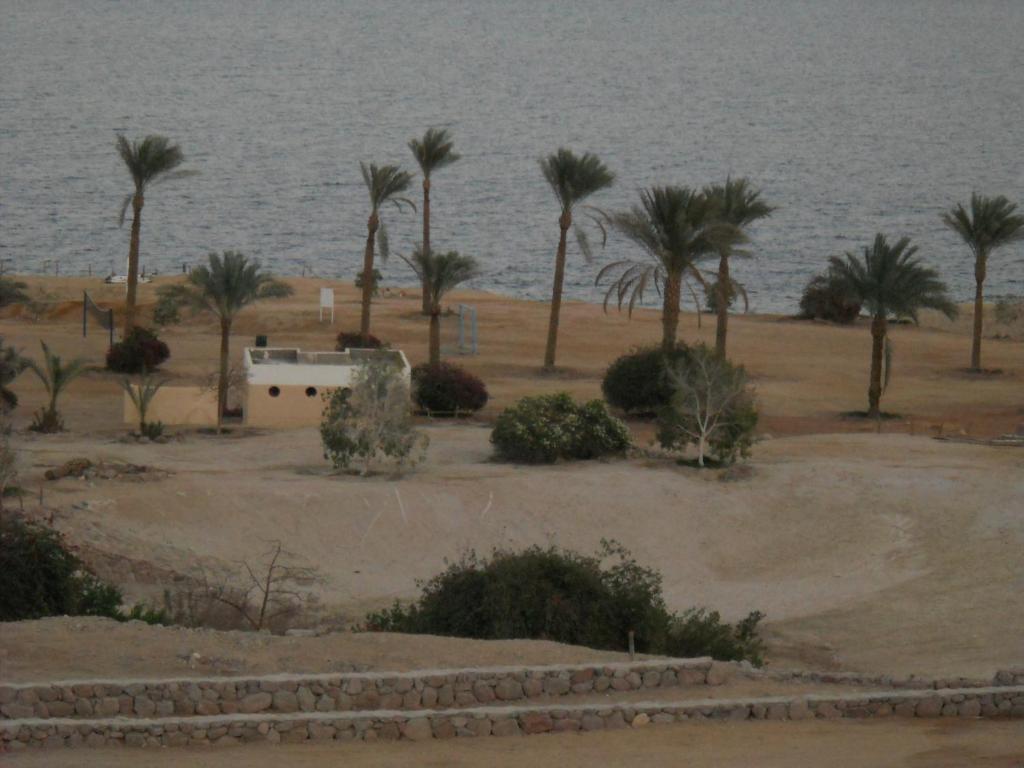 Royal Paradise Resort Charm el-Cheikh Extérieur photo