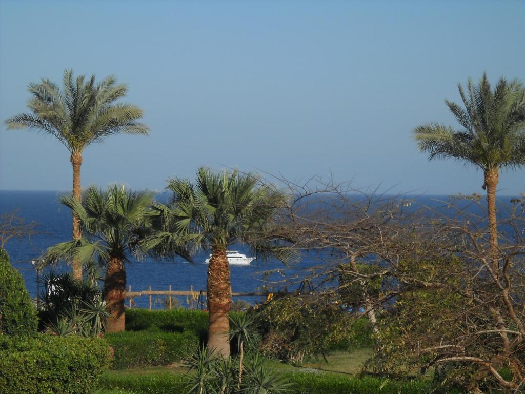 Royal Paradise Resort Charm el-Cheikh Extérieur photo